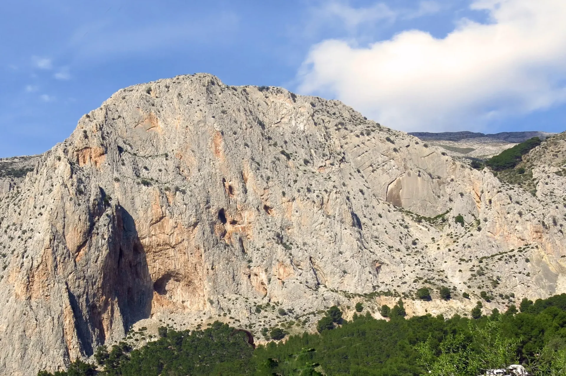 Frontales limestone cliff towering above pine forest in El Chorro, Andalusia